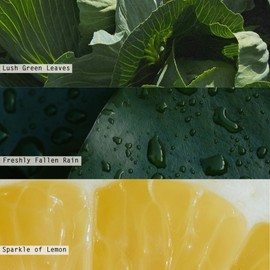 Illume Beautifully Done Essentials Hidden Lake Aromatic Diffuser, 6 oz. Refill