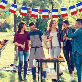 65Ft France flag Banner, 60PCS France flags, Very Suitable for Outside Patriotic Events, Sports, Inside Outside Bars Decorations