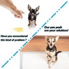 Rabbit Pee Pads, Disposable Super Absorbent Diaper, Pet Toilet/Potty Training