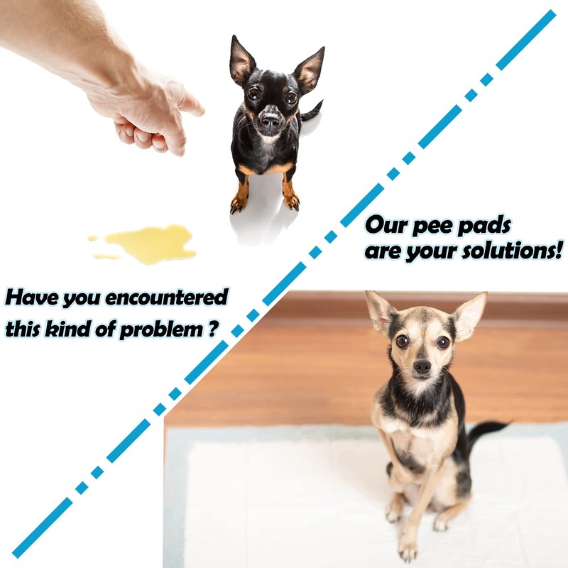 Rabbit Pee Pads, Disposable Super Absorbent Diaper, Pet Toilet/Potty Training