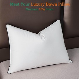 HYVIF Luxury White Goose Down Pillows King Size - 750+ Fill Power - 480 Thread Count 100% Cotton Shell - Soft and Support Down Bed Pillow for Back, Side, Stomach Sleepers - Pack of 1 (20 x 36”)