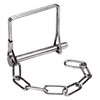 Reese Towpower 7044900 Pintle Pin/Chain