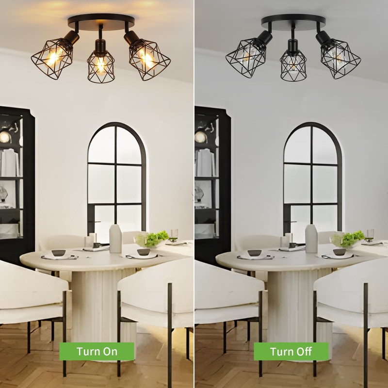 WILON Kitchen Light Fixtures Ceiling Mount, Black Ceiling Light Fixtures