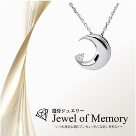 Jewel of Memory Silver SV925 Cremation Pendant with 2 Stainless Steel & Silver Chains, Memorial Urn Necklace