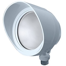 RAB Lighting LED Bullet Flood 12W White Warm Outdoor Lighting Fixture