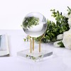 Hipiwe Gold Metal Arm Display Stand Easel with Acrylic Base