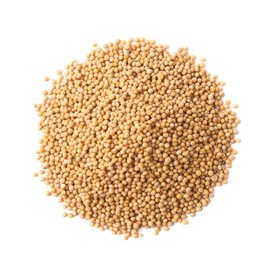 Food to Live - Organic Yellow Mustard Seeds, 5 Pounds - Non-GMO, Whole Dried Spice, Vegan, Kosher, Bulk. Spicy, Pungent Flavor