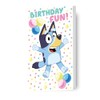 bluey, generic, birthday card