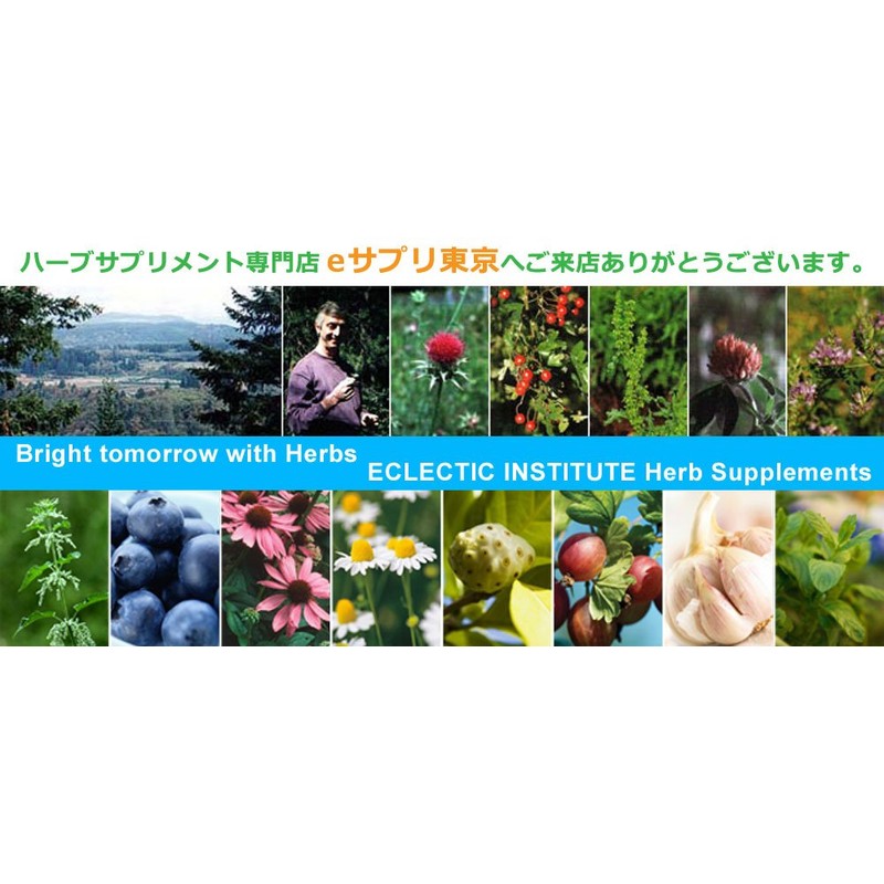 ekurekutexikku, Milk Thistle (mirukusisuru, nogesi) 2 oz. Tincture 59.2ml E178 