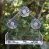 Hanging Window Wild Bird Feeder Table Clear Viewing Perspex 3