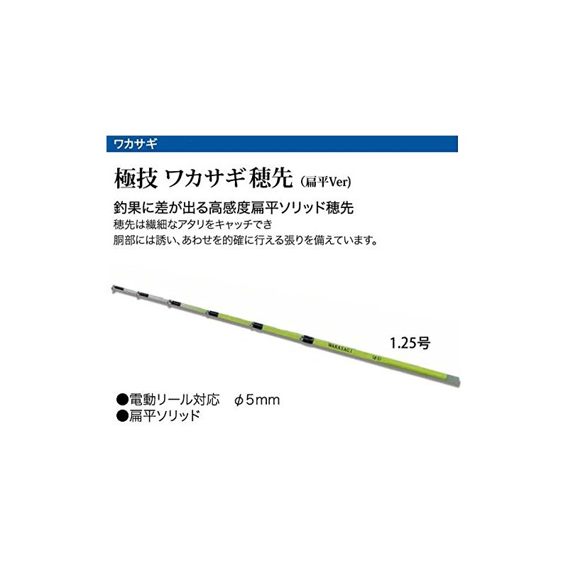 わかさぎセット 極技ワカサギ替え穂先 30cm HAPYSON 電動リールYH-201 電動セット