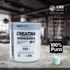 Creatina Monohidratada 100% Pura 500g MDN Sports 100 servicios Sin