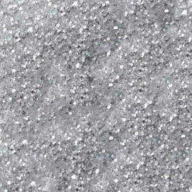 Non-Toxic Disco Dust, 16 Grams - Silver