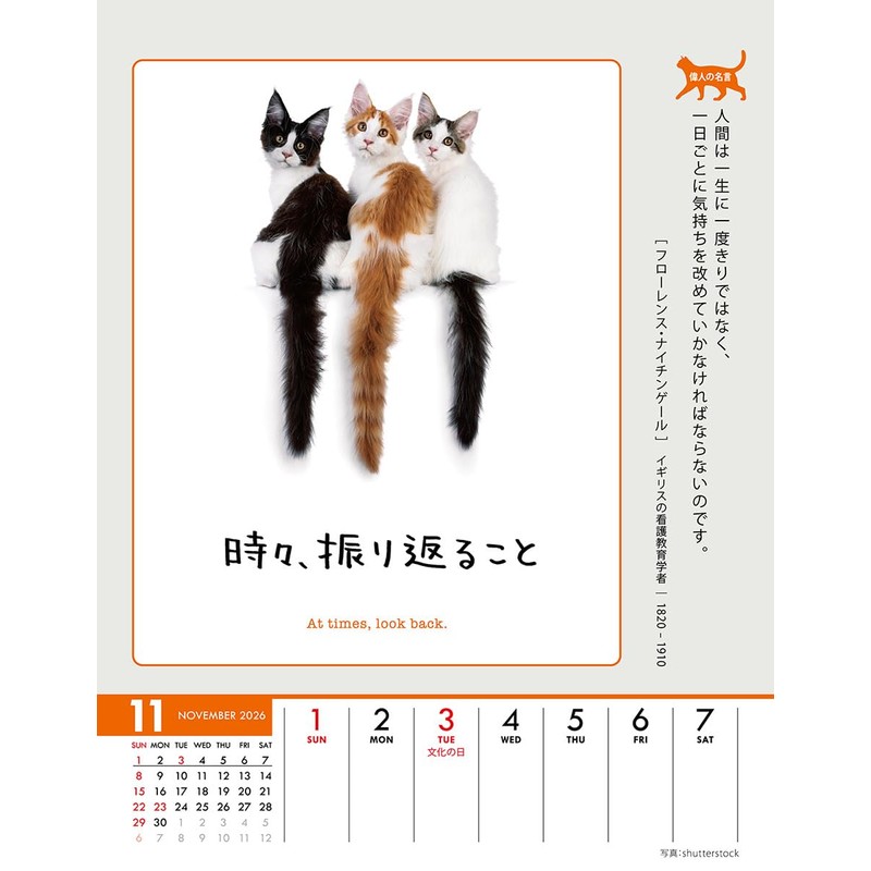 Wing Life is Nyan! CL-384 Tabletop/Wall Hanging, 2026 Calendar, 7.1