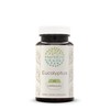 HerbEra Eucalyptus 60 Capsules, 400 mg, Eucalyptus (Eucalyptus Globulus) Dried