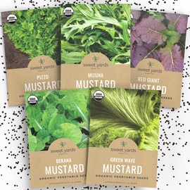 Organic Mustard Green Seeds Variety Pack - 5 Individual Packs - 2025 Season - Mizuna, Pizzo, Bekana, Red Giant and Green Wave! for Indoor & Outdoor Planting (Non-GMO, Certified Organic)