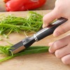 Stainless Steel Scallion Slicer, 19.5 x 3 cm, Spring Onion