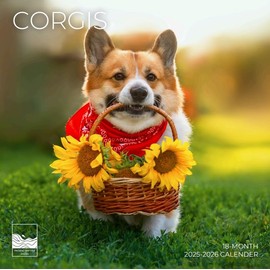 July 2025- December 2026 Wall Calendar 18 Month | 12" x 24" Open | Giftable Dog Calendar 2026 | Thick & Sturdy Paper for Organizing & Planning | Pacific Waters Press (Corgi)