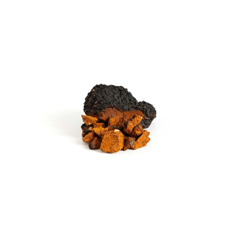 Pilze Wohlrab - Organic Chaga Mushroom Capsules - Chaga Extract