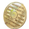 17 Year AA Medallion 22k Gold Plated Sobriety Chip