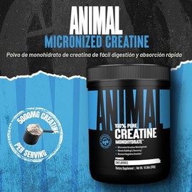 Animal Monohidrato de creatina en polvo, creatina micronizada para mujeres y hombres, apoya el crecimiento muscular, la fuerza, la resistencia, la rec