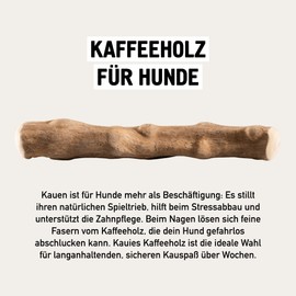 Kauies Coffee Wood for Dogs - Dog Toy 100% Natural, Vegan, Caffeine-free & Calorie Free, Tested for Harmful Substances, Durable Chewing Wood for Dogs up to 6 kg, Size XS (Pack of 1)