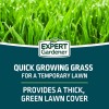 Expert Gardener Kwik Grass Seed Mix, for Sun to Partial