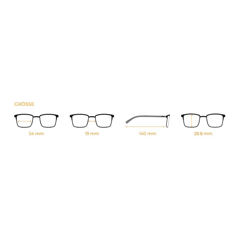 Generisch Dilem Original Glasses NC021 with Interchangeable Arm ZF018 Perfect
