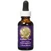 Flower Essence Services Dropper Herbal Supplements, Joshua Tree, 1 Ounce