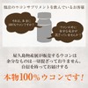 有機屋久島春ウコン粉末100g [M便 1/3]