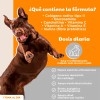 Suplemento Alimenticio Para Perros/gatos Con Colágeno 70g