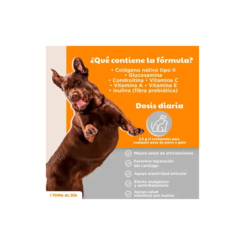 Suplemento Alimenticio Para Perros/gatos Con Colágeno 70g
