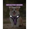 FAYOGOO Service Dog Vest for Small Breed - Lightweight Dog