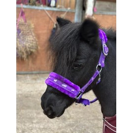 Equipride Horse Print Faux Lined Nylon Headcollars With Matching Lead Rope Purple (Cob)