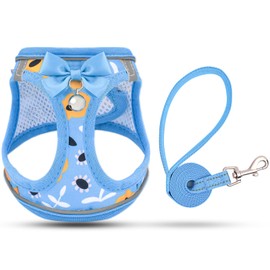 SALFSE Cat Harness and Leash Escape Proof for Walking, Adjustable Soft Kitten Harness with Reflective Straps Step in Cat Vest Harness for Small Kitten and XS Dogs (Blue, XS-Chest(10.2"-11.8"))