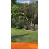 Protectone Bloqueador Solar Nopal Fps50 100ml