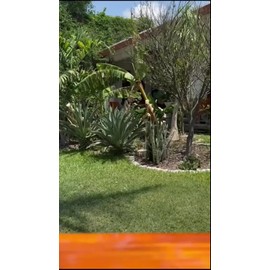 Protectone Bloqueador Solar Nopal Fps50 100ml