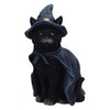Nemesis Now Bewitching 18.5cm Resin Black Cat Figurine Black Cat