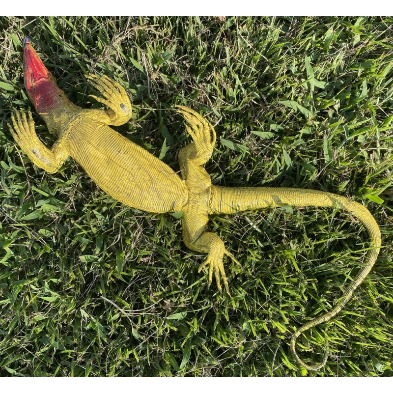 Monitor Lizard Replica - Young Green - AAA Realistic PVC