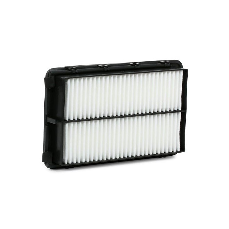 RIDEX 8A0648 Engine Air Filter Recirculation Filter