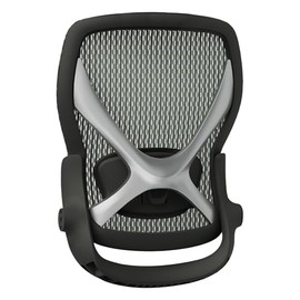 X100 Backrest, Replacement (Forest Ranger)