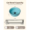 GDCZ Ceramics Raised Cat Bowls with Heighten Metal Stand,15 Ounces