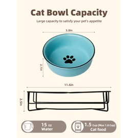 GDCZ Ceramics Raised Cat Bowls with Heighten Metal Stand,15 Ounces Turquoise