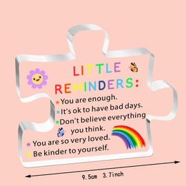 SDOFY Inspirational Gifts for Women Men Positive Gifts Mental Health Gifts Little Reminders Office Desk Accessories for Women Acrylic Plaque Well Done Gifts for Women Friends Colleague