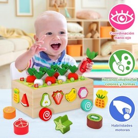 Juguetes Montessori, Juguetes Educativos de Madera para Niños Pequeños, Juguetes para Clasificar Formas de Frutas, Juegos de Motricidad Fina Preescolar, Regalos Divertidos para Niños y Niñas