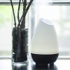 HealthSmart Large 500mL Essential Oil Diffuser with Colorful Mood Light