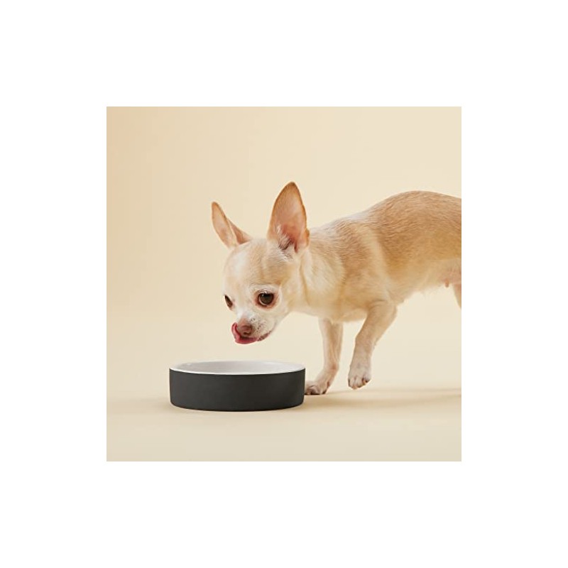 PAIKKA Slow Feed Bowl Black XS