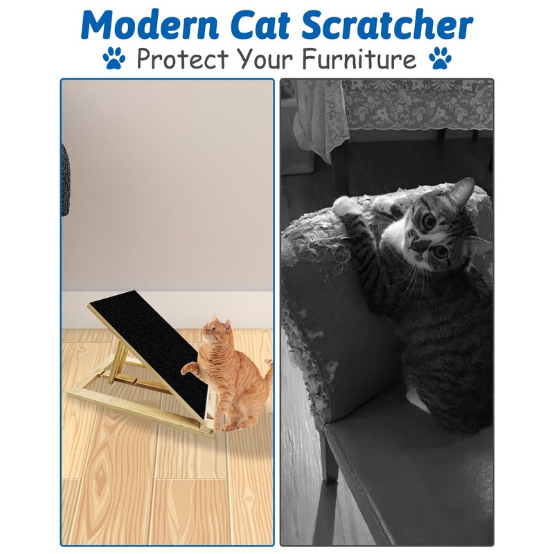 cat Scratcher