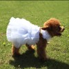WORDERFUL Dog Wedding Dress Bride Outfit with Pearl Necklace and
