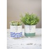 KitchenCraft Planter, Green Ombre, One Size